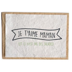 growing paper maman