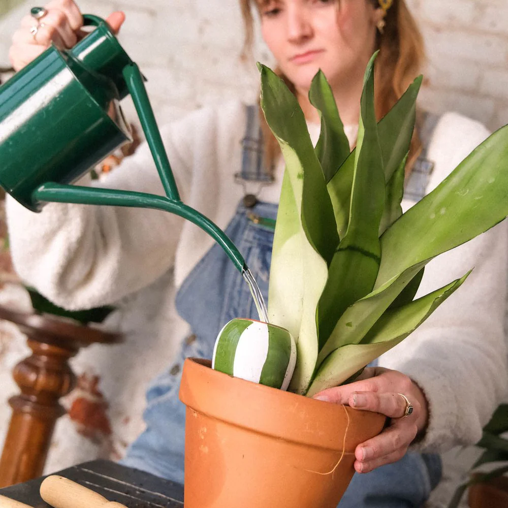 Trio Mini Olla - Pepin Les Rayés - Image 2