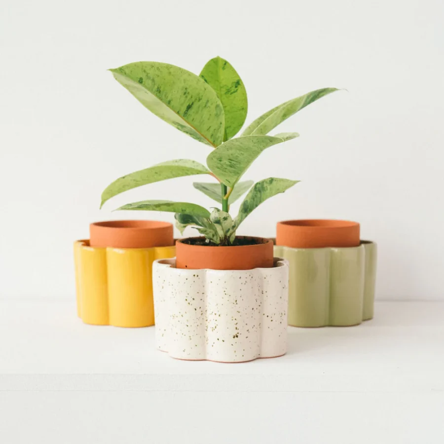 Pot autonome - Pepin