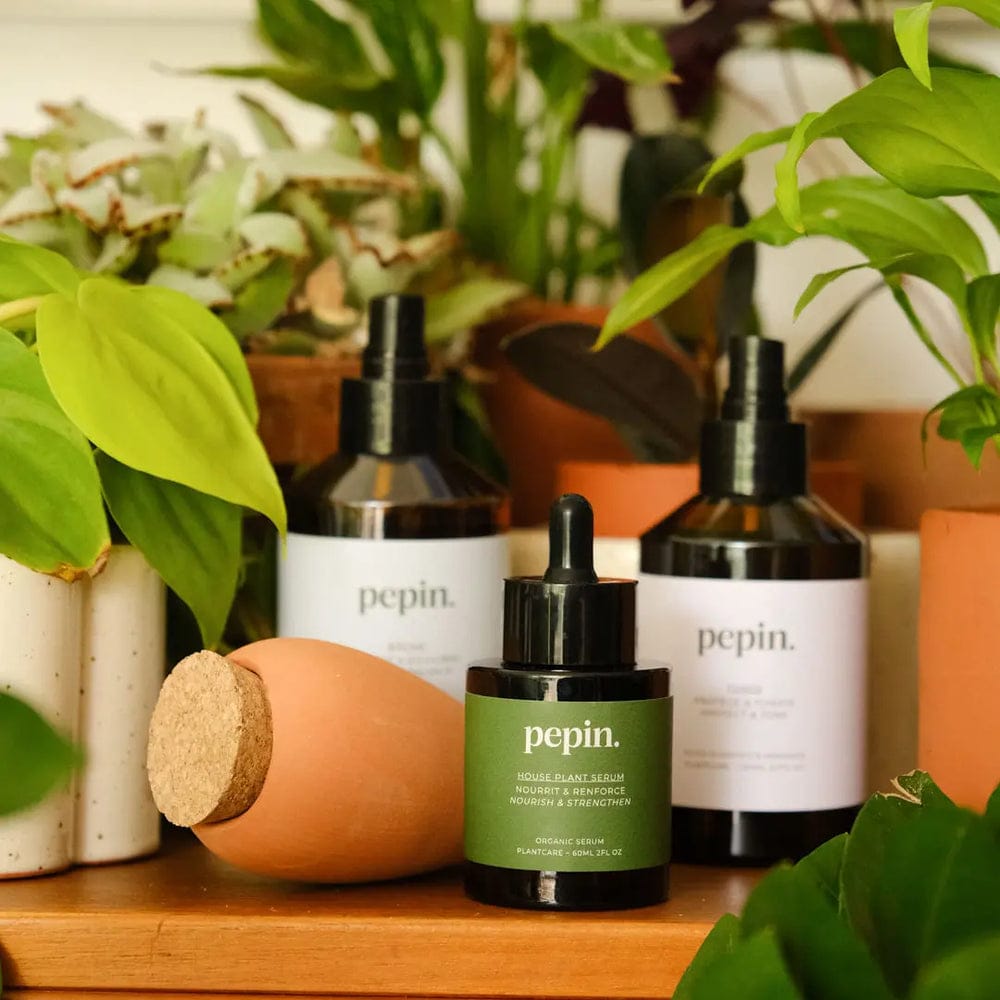 Plantcare Routine - Pepin - Image 2