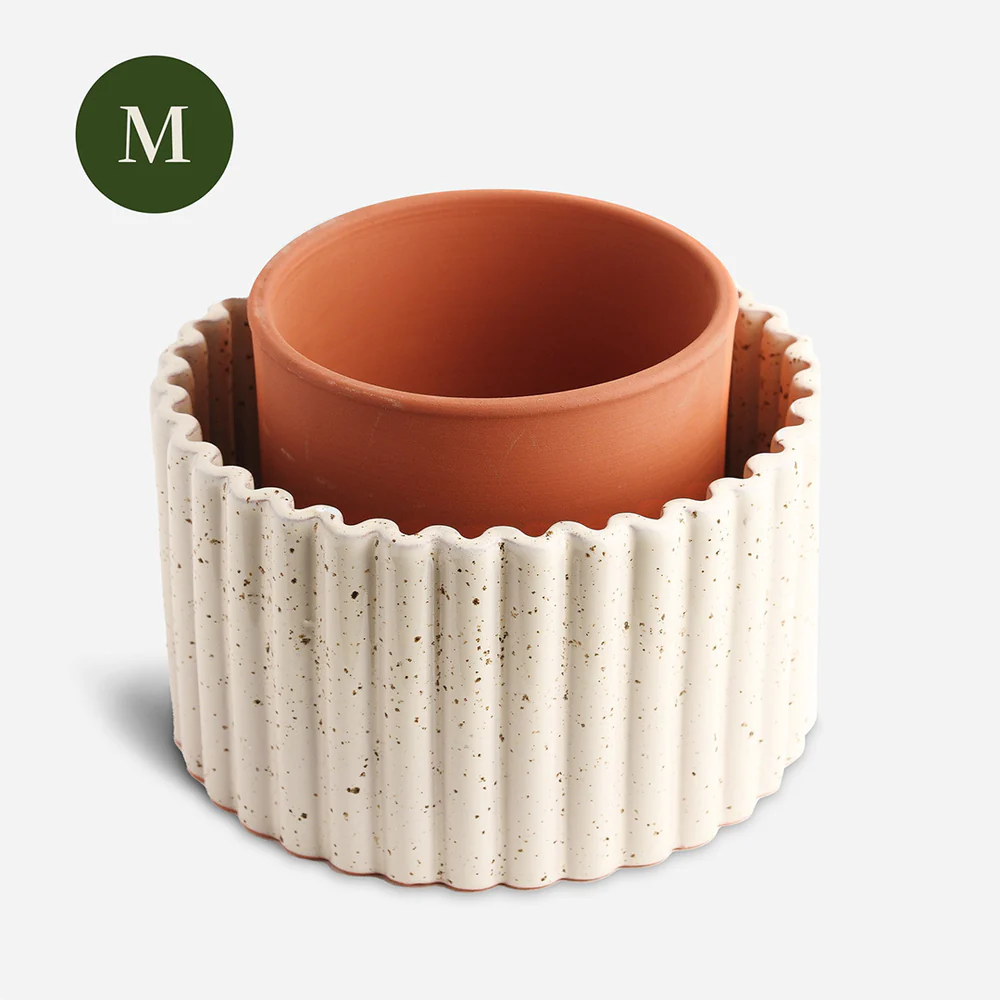 Pot autonome Paula- Pepin - Image 3