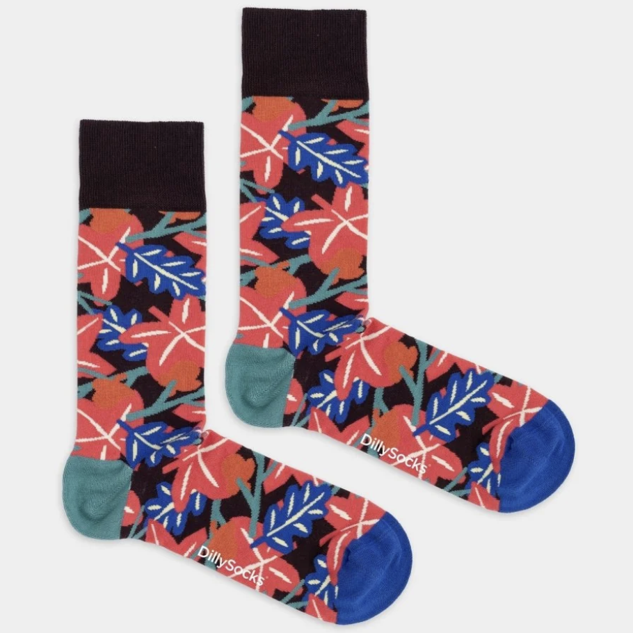 Autumn Burst - Dillysocks - Image 2