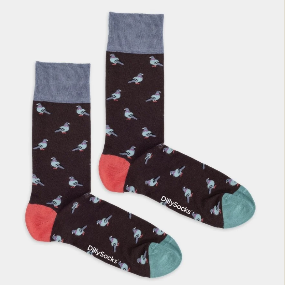 Pigeon Flight - Dillysocks - Image 2