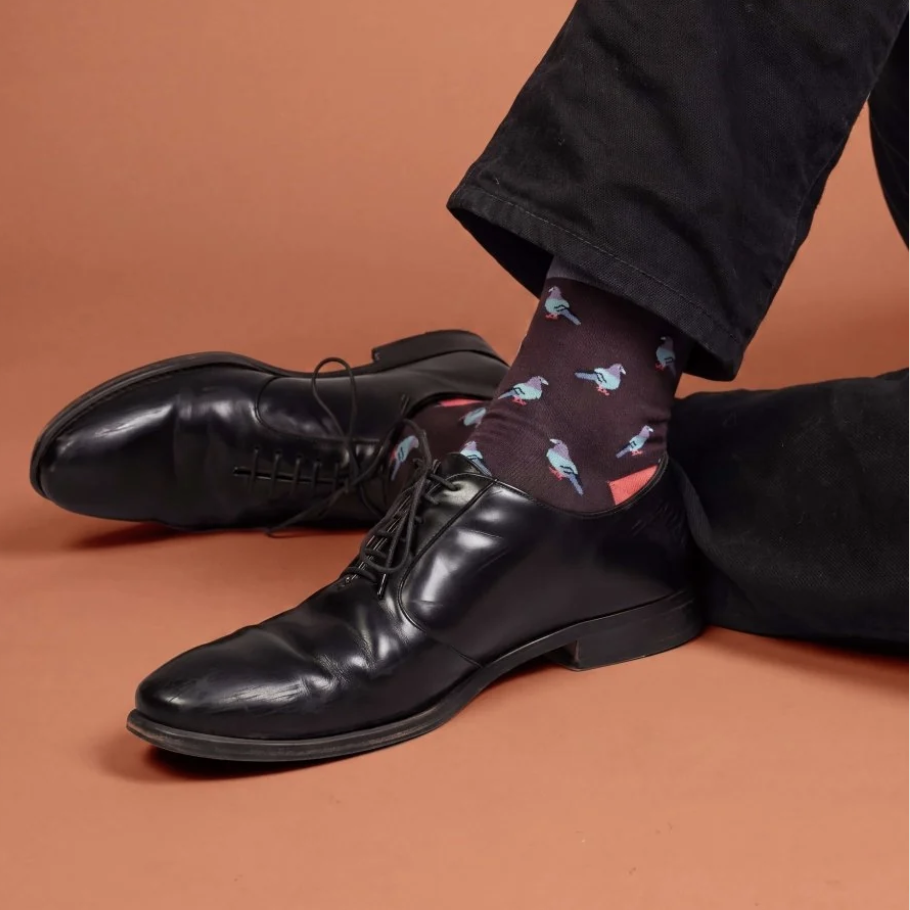 Pigeon Flight - Dillysocks